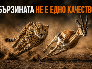 Бързината не е едно качество